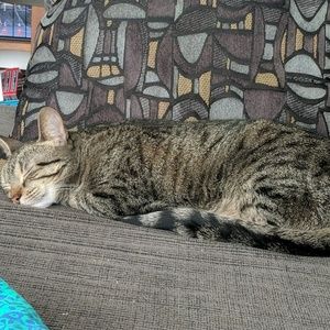 Meet your Posher, Libby